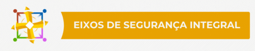 Eixos de Segurança Integral