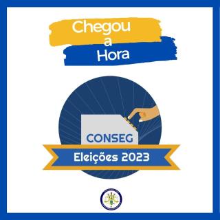 Sistema do Processo Eleitoral dos Conselhos Comunitários de Segurança (Consegs)